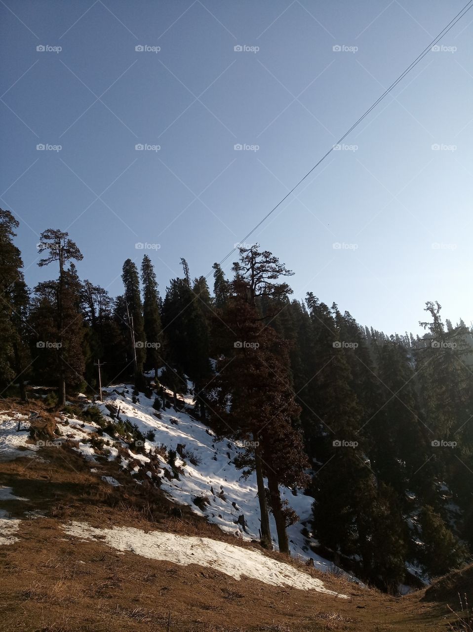 Hatu peak is located in Shimla district of Himachal Pradesh, India at an elevation of 3400 m above sea level. The peak is surrounded by dense forest of conifers, oaks and maples.