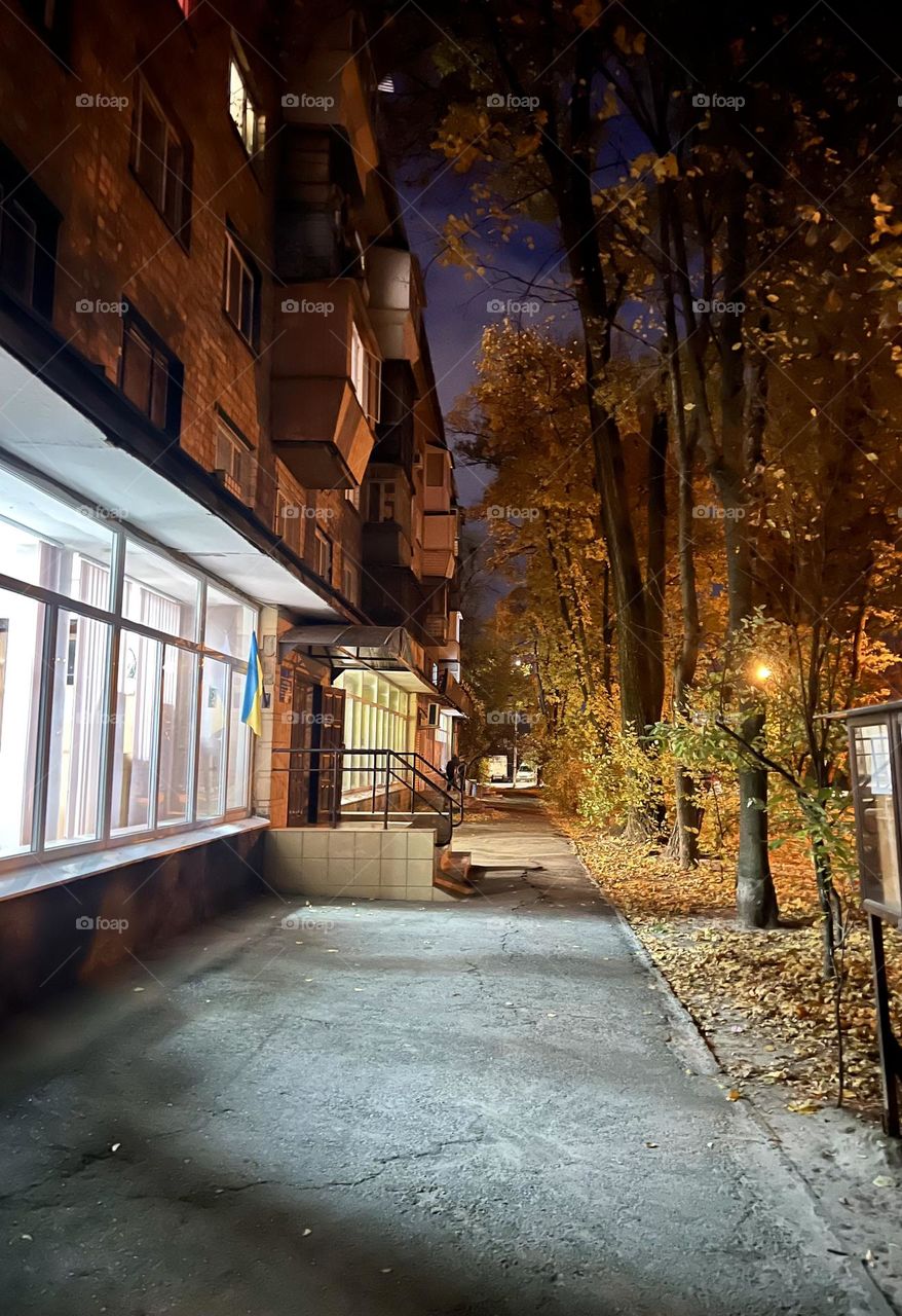 Evening, cozy city in autumn