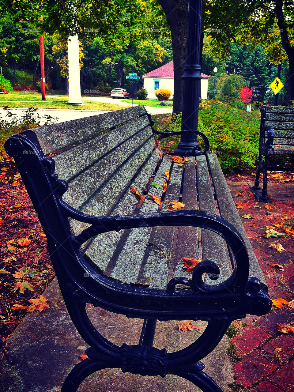 green light plants chair by somebeach