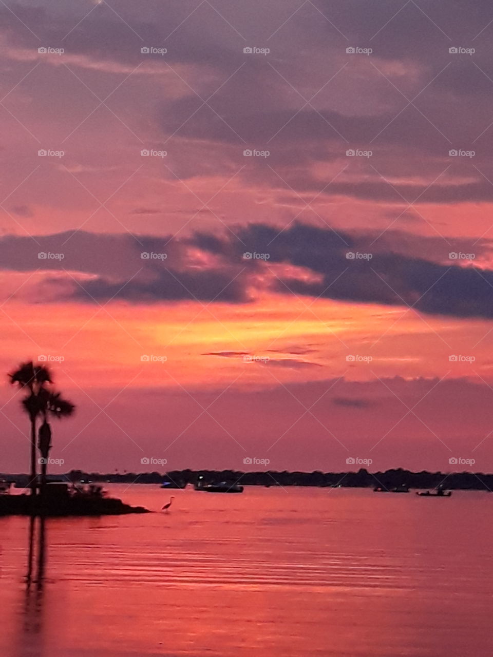 Florida sunset over lake.