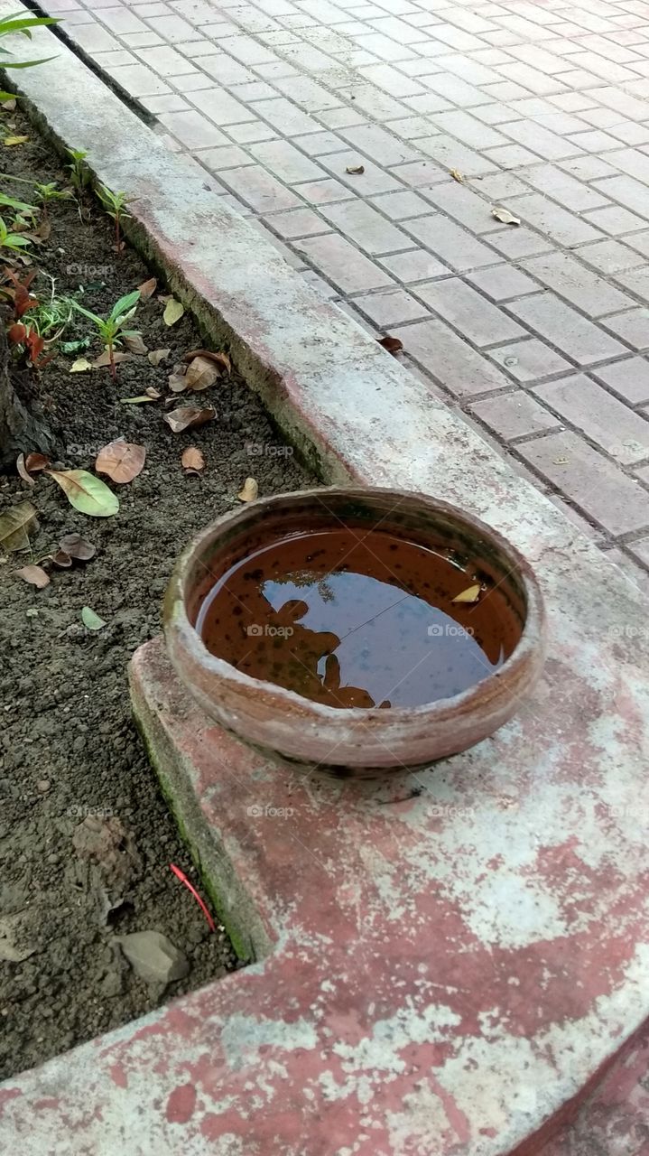 water pot