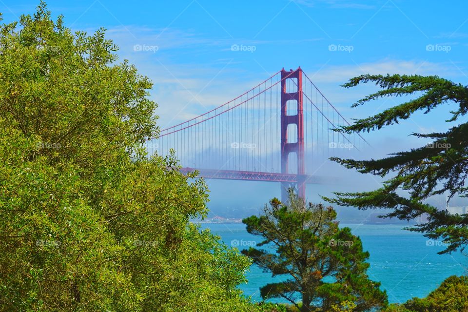 San Francisco Golden Gate Bridge In Fog