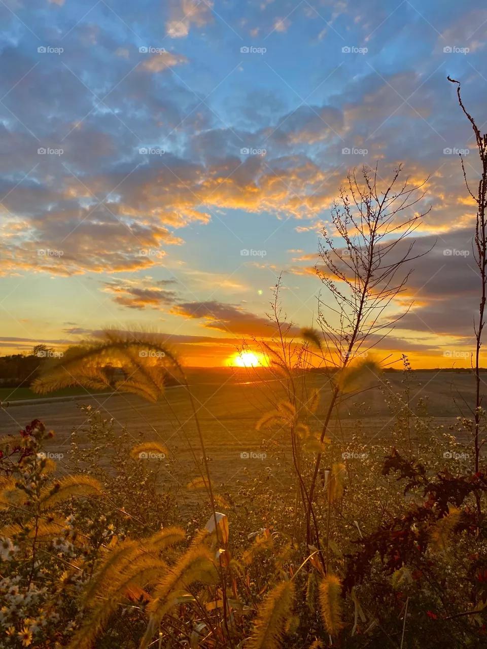 Sunset 