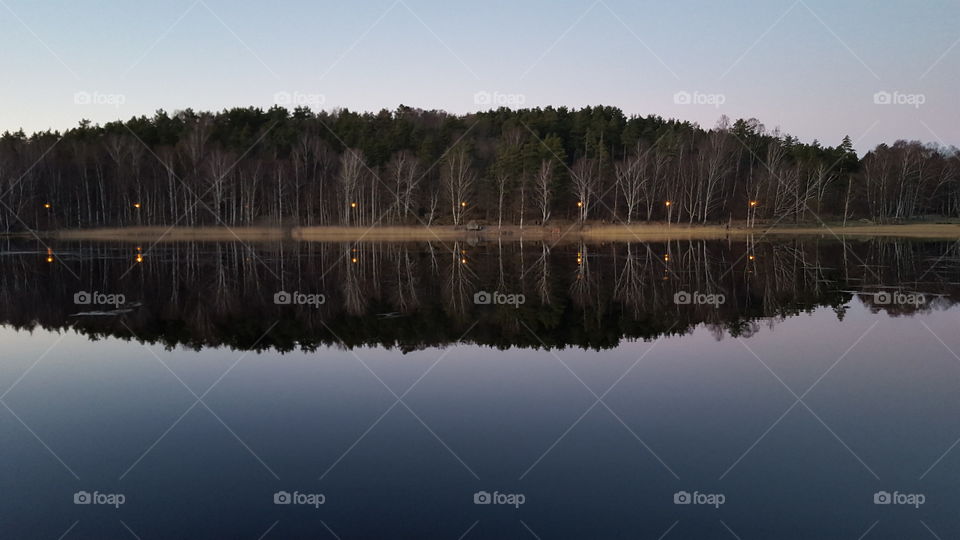 Forest reflections in lake 