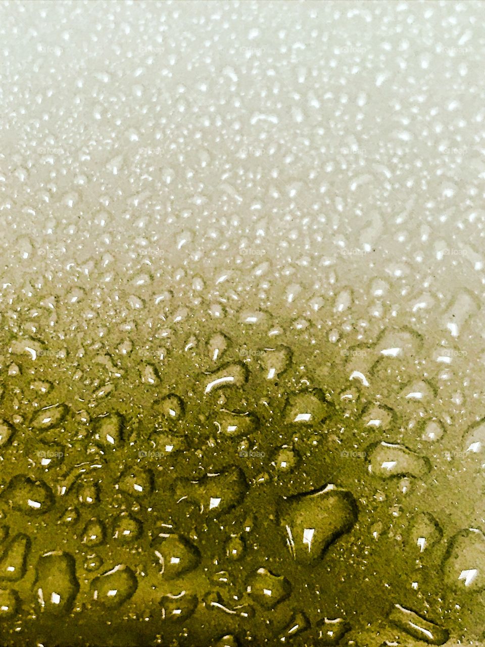 Water drops close up