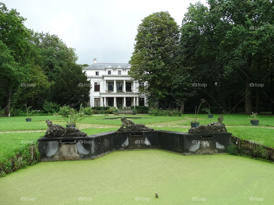 In the garden in case of anti-squatting