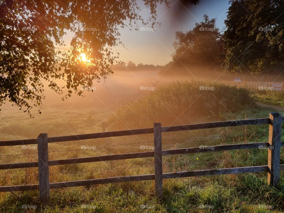 misty fields viewed over field fence at sunrise towards ruined house