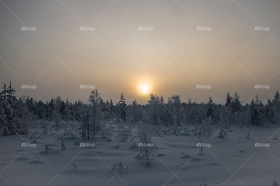 winter in Lapland