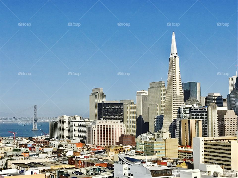 Beautiful San Francisco! 