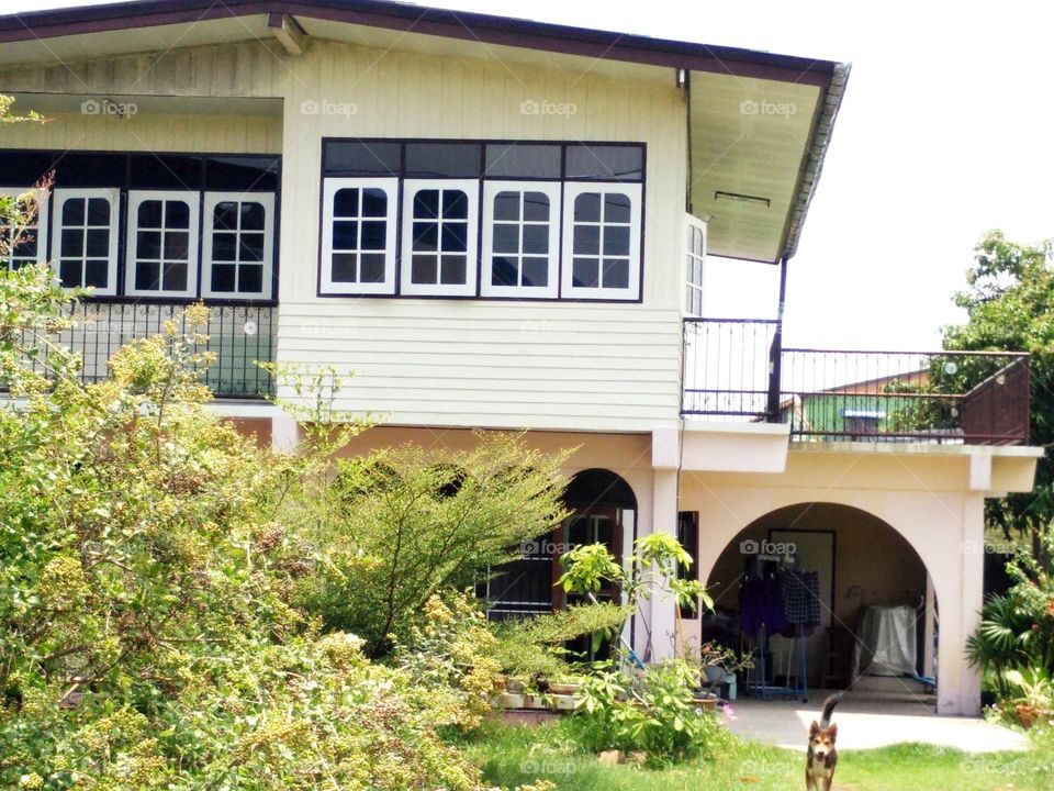 yellow home. my home is blockhouse in yellow colour