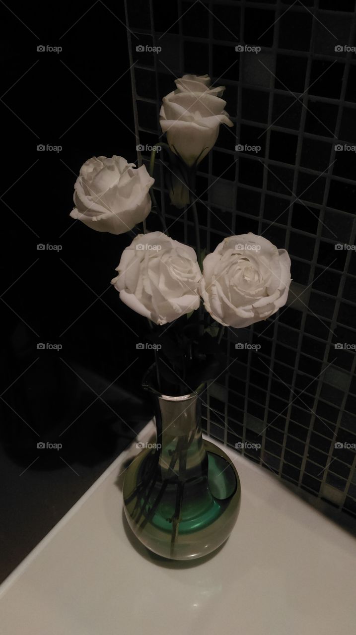 White roses in the dark.