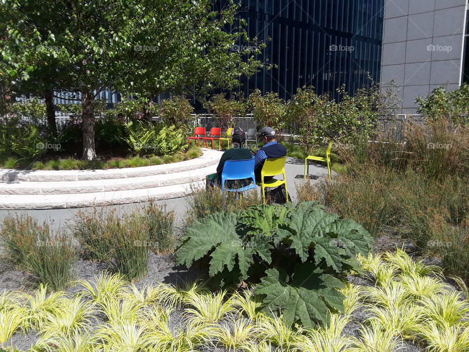 Salesforce Park San Francisco California