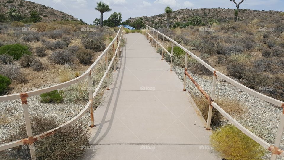 the path leading away from the Lookout Point, that overlooked a large Valley in the Joshua Tree Park