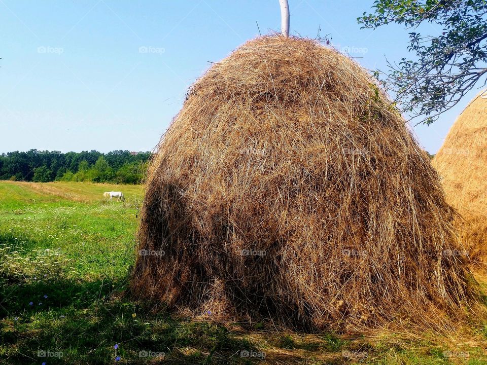 haystack