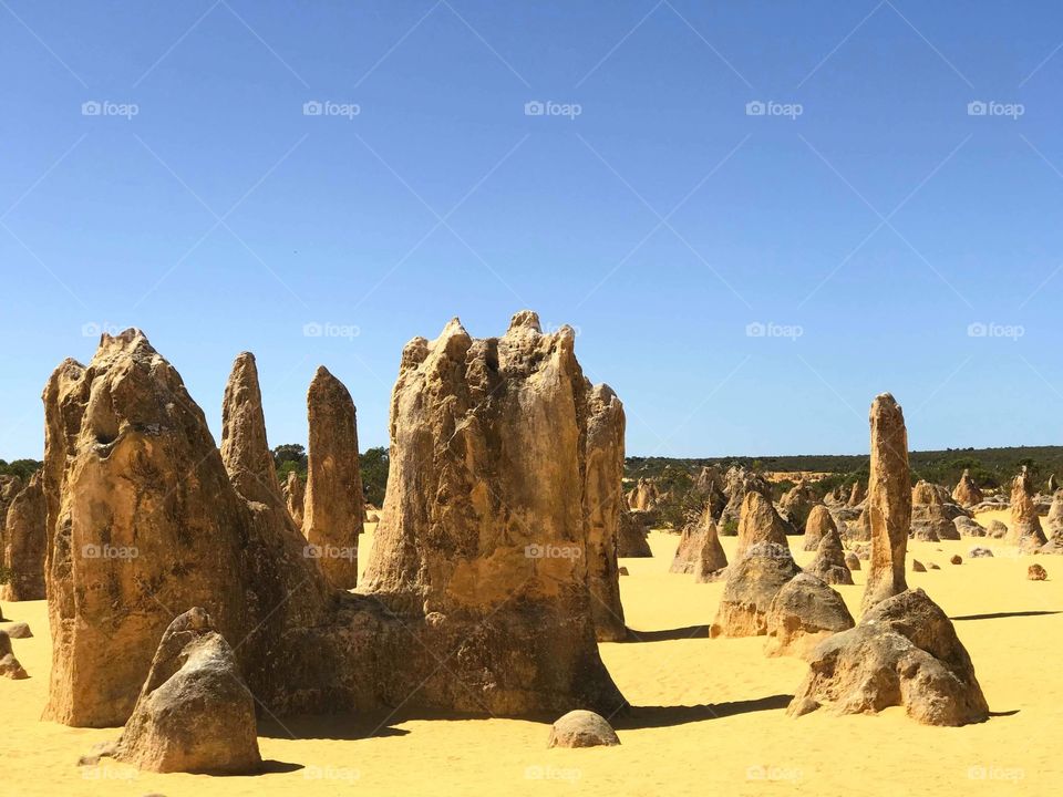The Pinnacles of Perth -Western Australia. Travel into a landscape of strange rock formations in the Pinnacles Desert. Pinnacles came from seashells in an earlier era that was rich in marine life. 