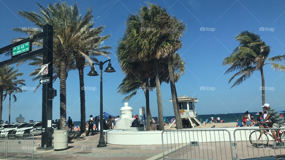 Fort Lauderdale Beach 