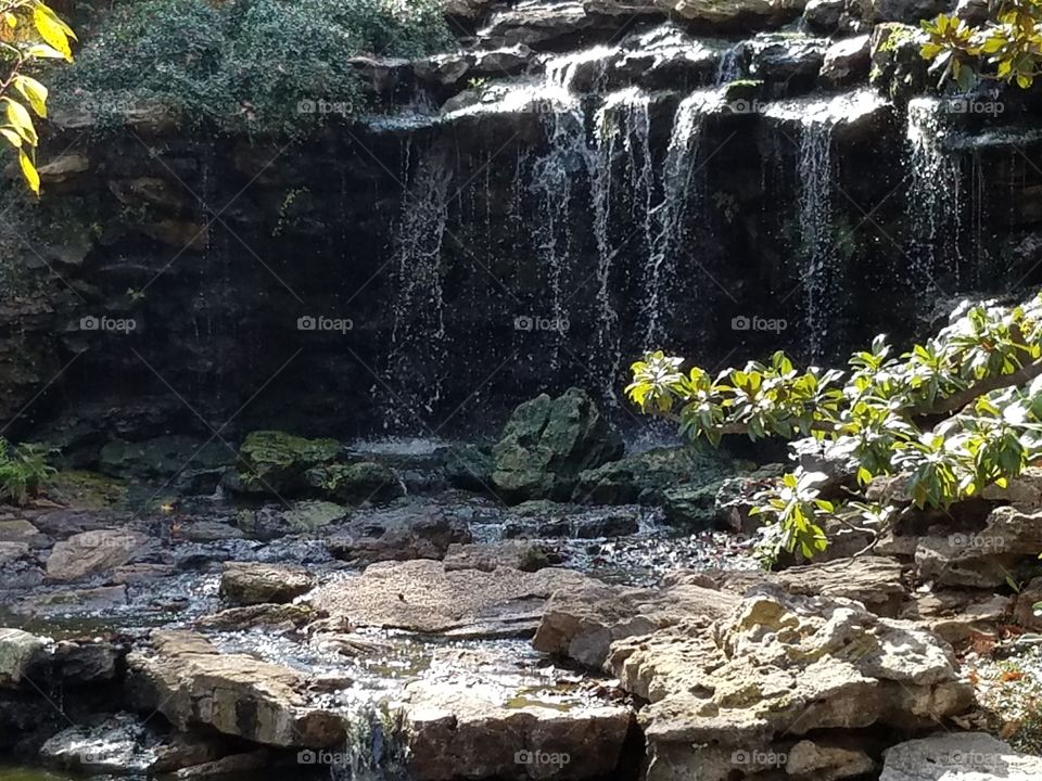 Japanese Gardens at Fort Worth botanical