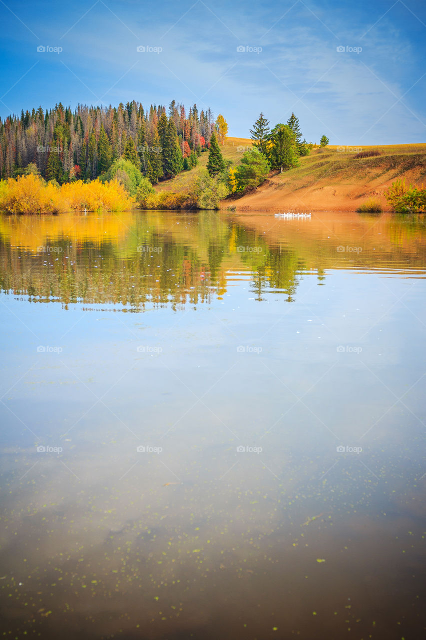 Autumn lake