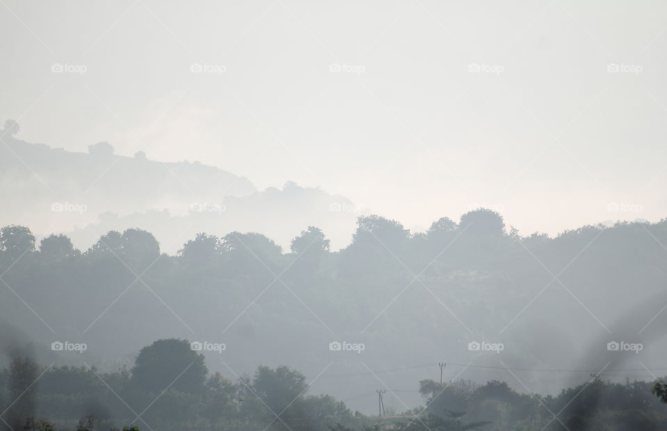 Morning viewed of forest . Mountana pointed sumbawa , Indonesia . Lined of tree to look for the canopy of them . They're priority of tropical destination tourism district , and than the main topic education center of new siteregion at this time .