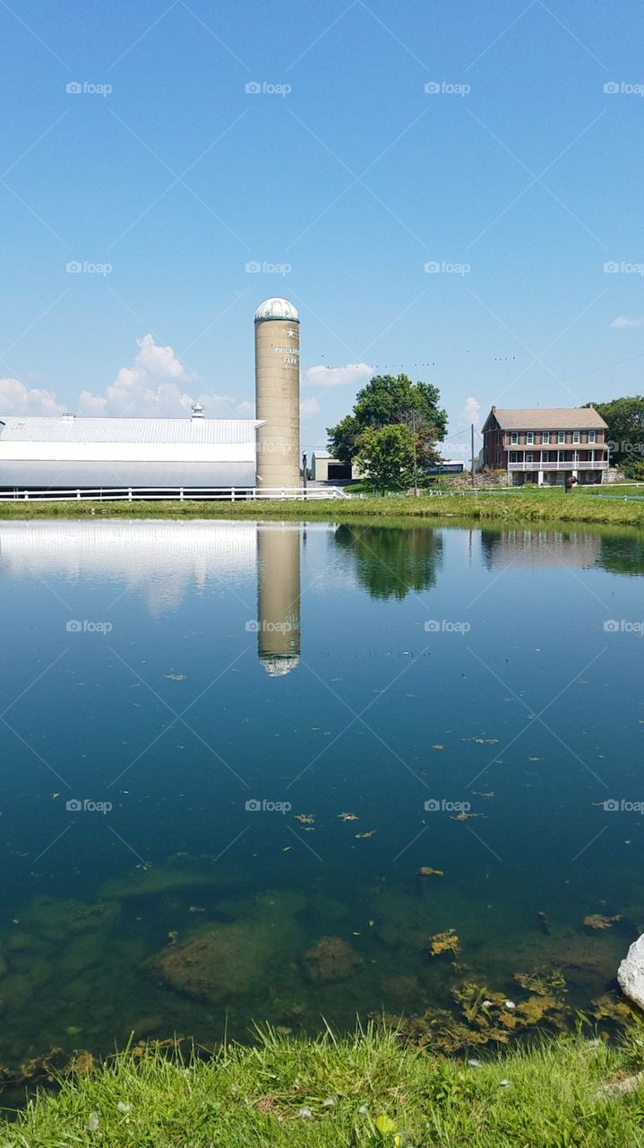 Farmland