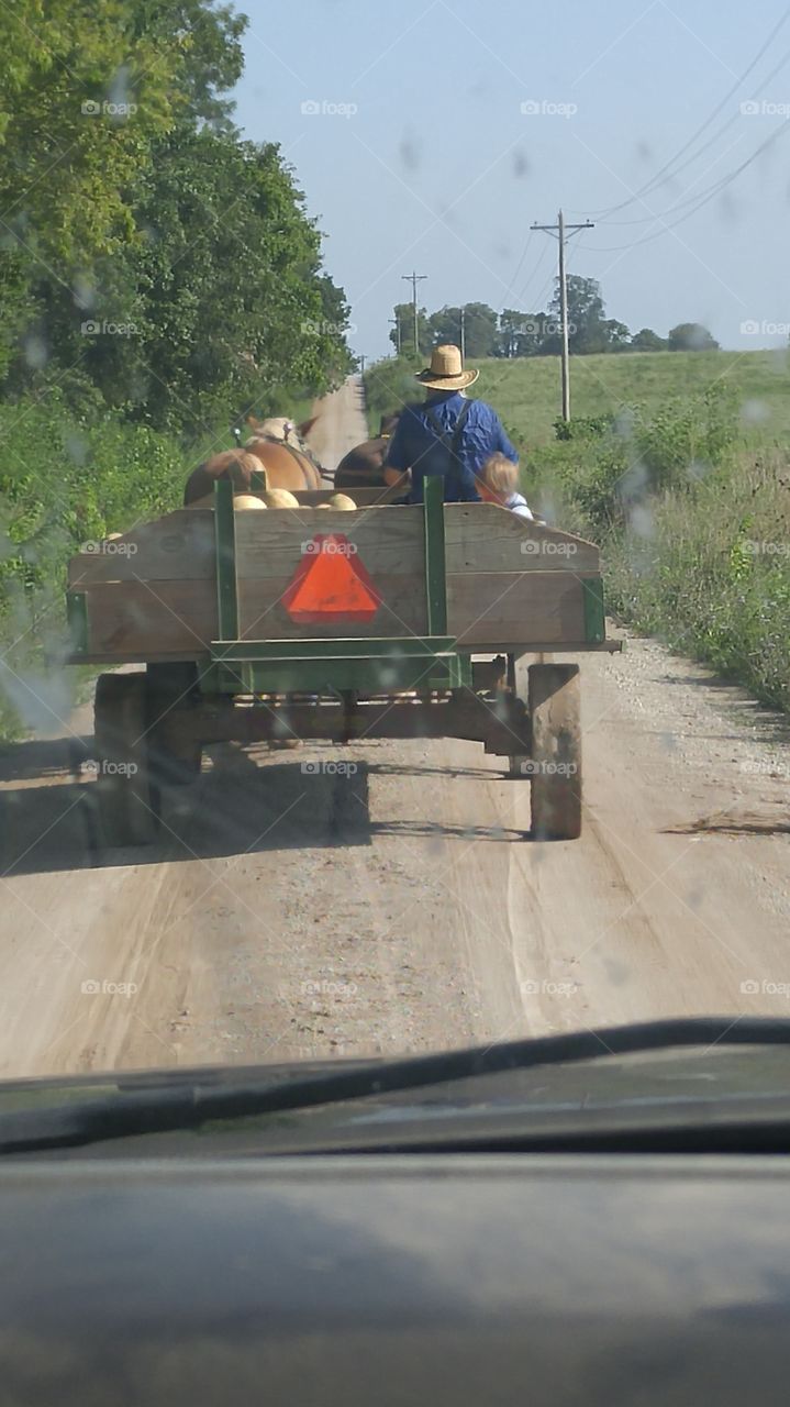 Amish taking produce to the local grocery store