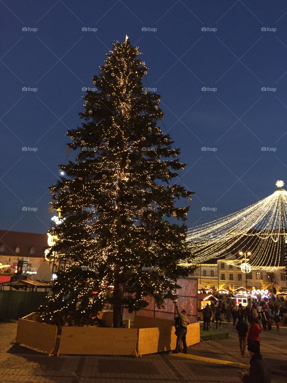 Christmas tree, Sibiu, Romania