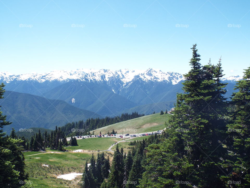 Olympic National Park.