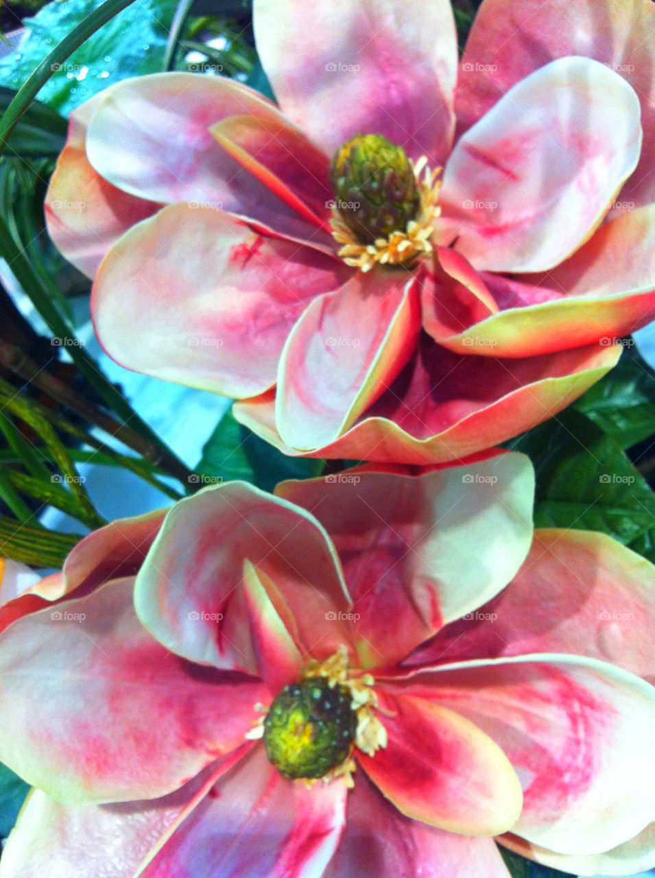 green flowers nature pink by blackpearl079