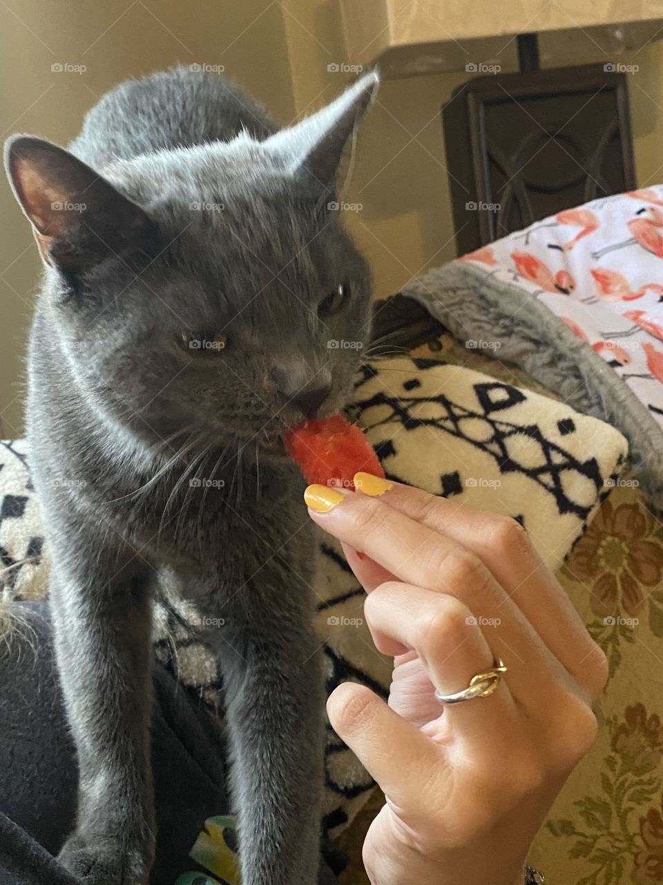 Watermelon is refreshing 