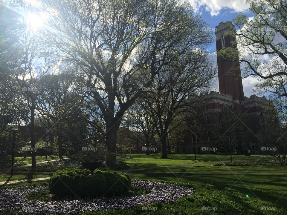 Vanderbilt university in Nashville 