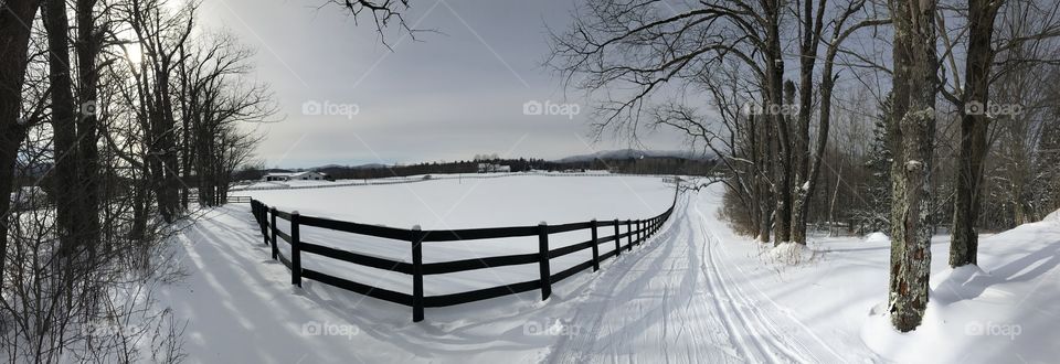 Winter, Snow, Landscape, Cold, Tree