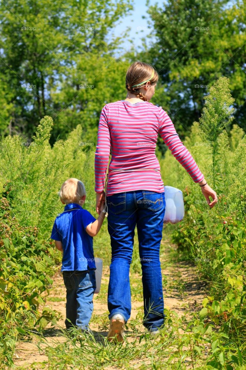 berry picking