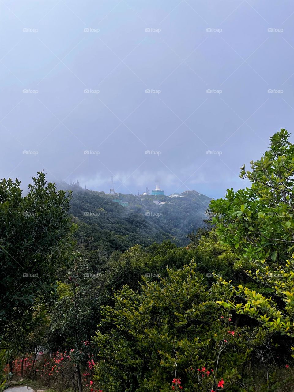 Surrounded by clouds and fog