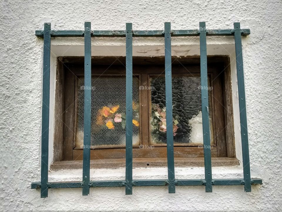 Flowers in a Window