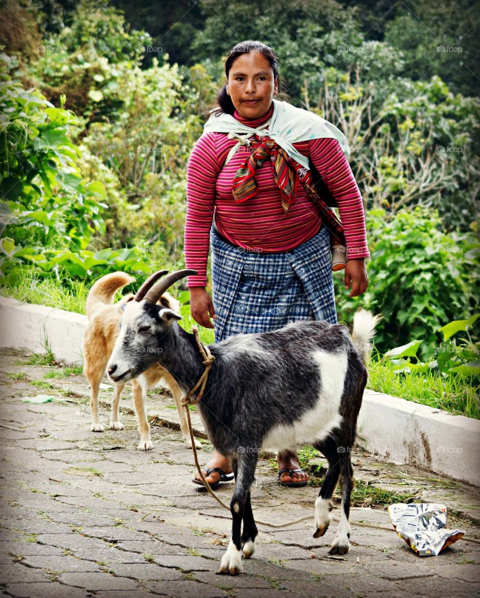 Lady herding goat on Guatemalan street