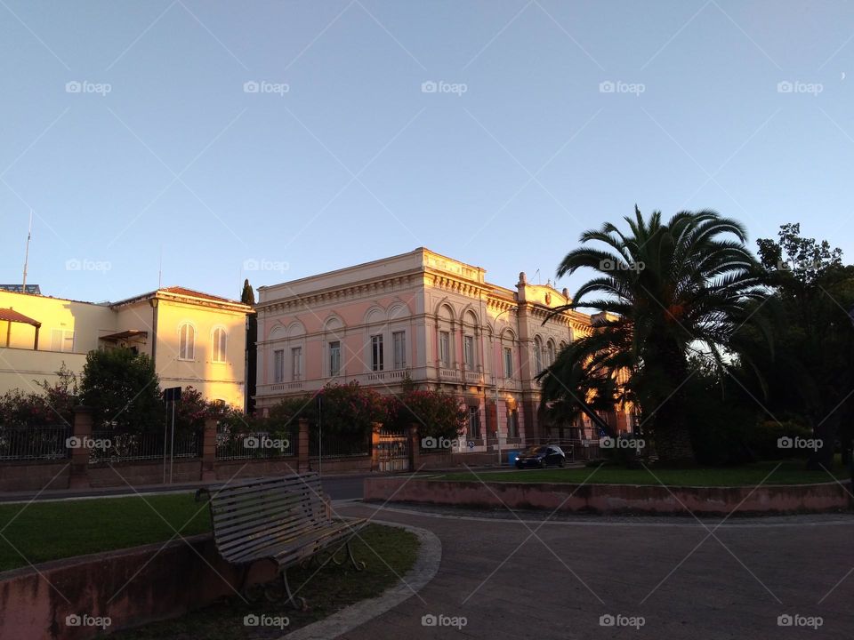 Editors' Choice - Photo of the Week