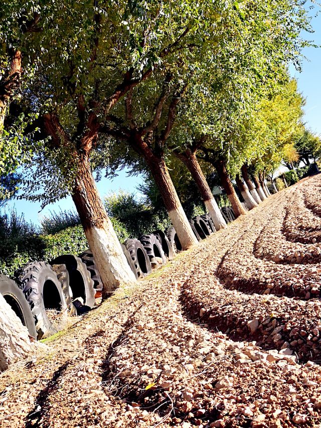 Campo Manchego