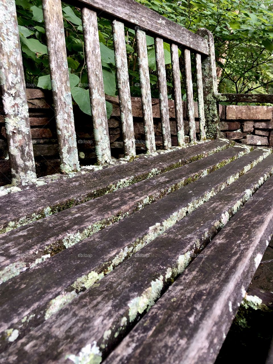 Wooden park bench with lichen