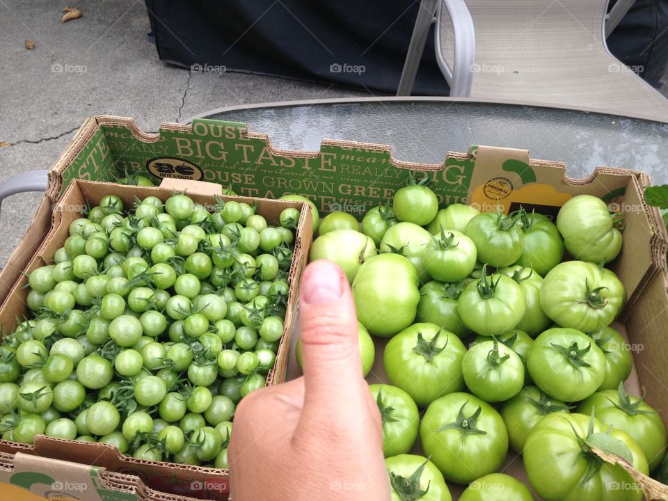 Garden tomatoes