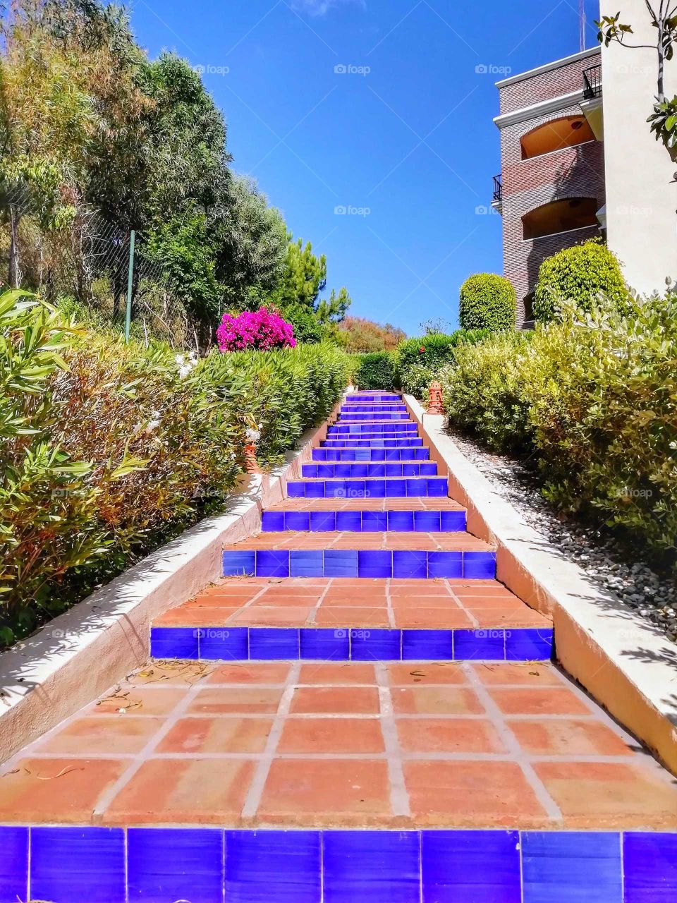 beautiful tiled steps in Spain. design, step, background, style, pattern, architecture, modern, white, beauty, tile, floor, summer, shape, nature, empty, space, trend, trendy, template, studio, scene, view, relaxation, scrub, facial, moroccan tiles,
