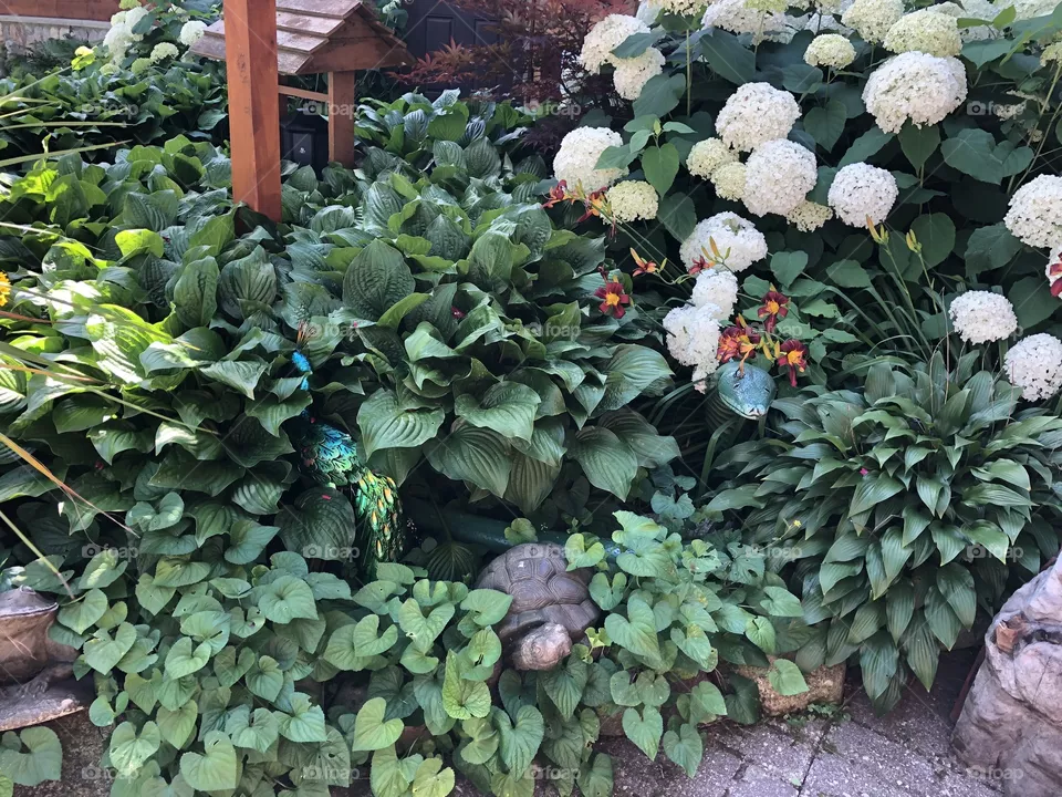 Hidden Critters