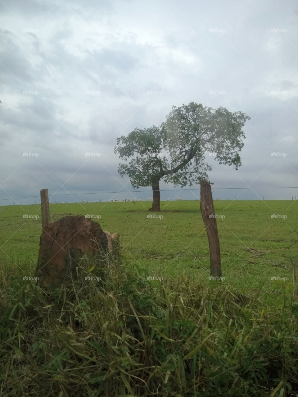 A Natureza e seus encantos!