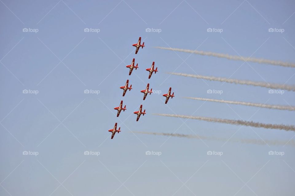 Snowbirds