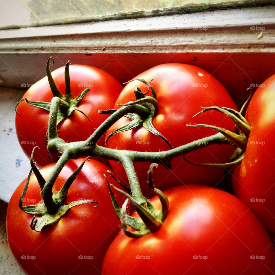 china window tomatoes vine by detrichpix