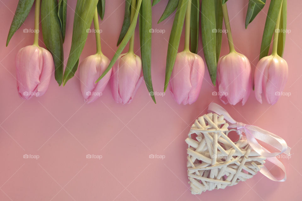 pink tulips on a empty copy space background and a heart shape decoration