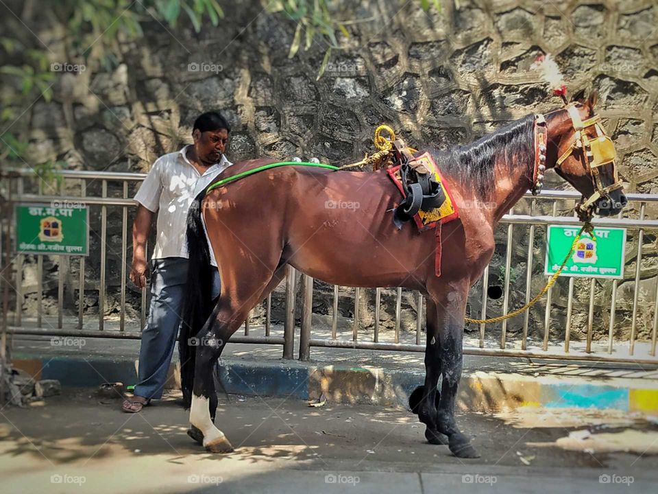 Indian mode of transportation.