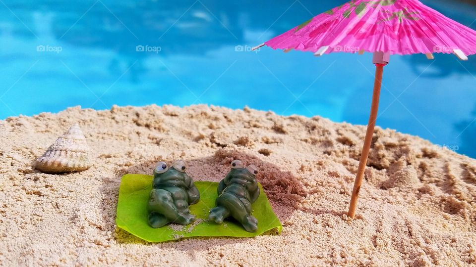 Lazy frogs on the beach