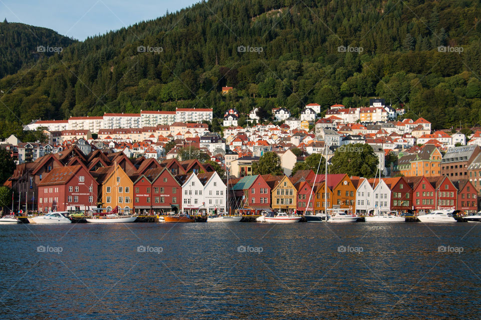 Town of bergen