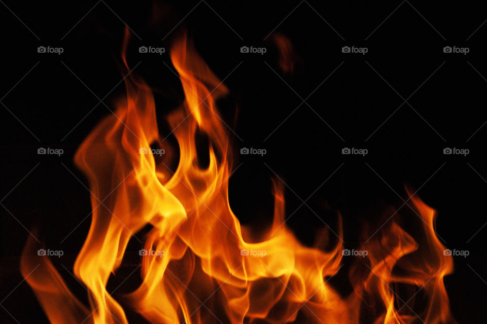 Close-up of fire flame at night