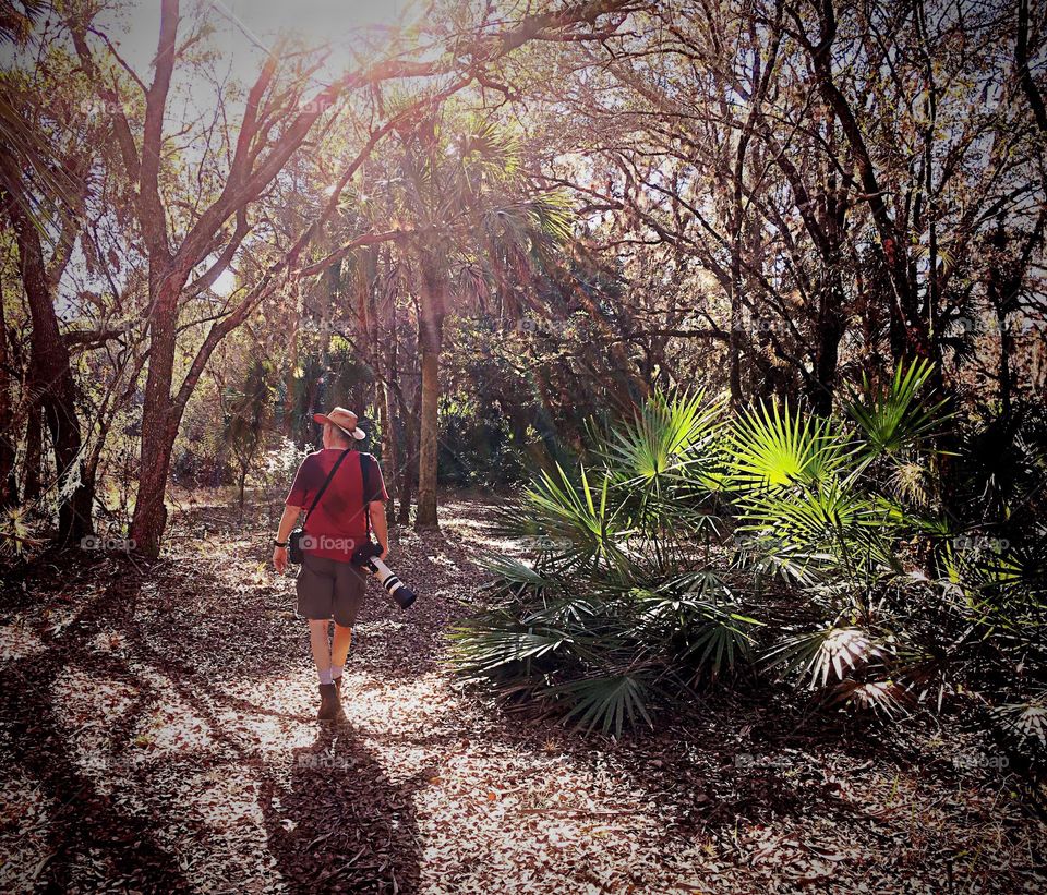 Photographer in the forest 